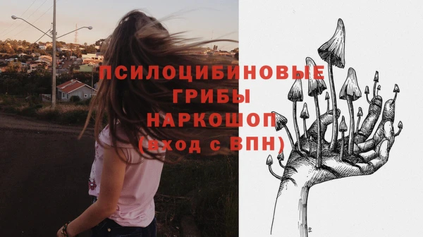 стаф Баксан